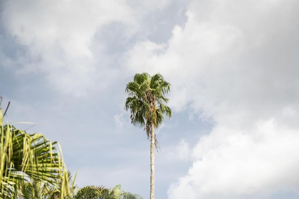 Bay Breeze Aparthotel South Bradenton Exterior foto